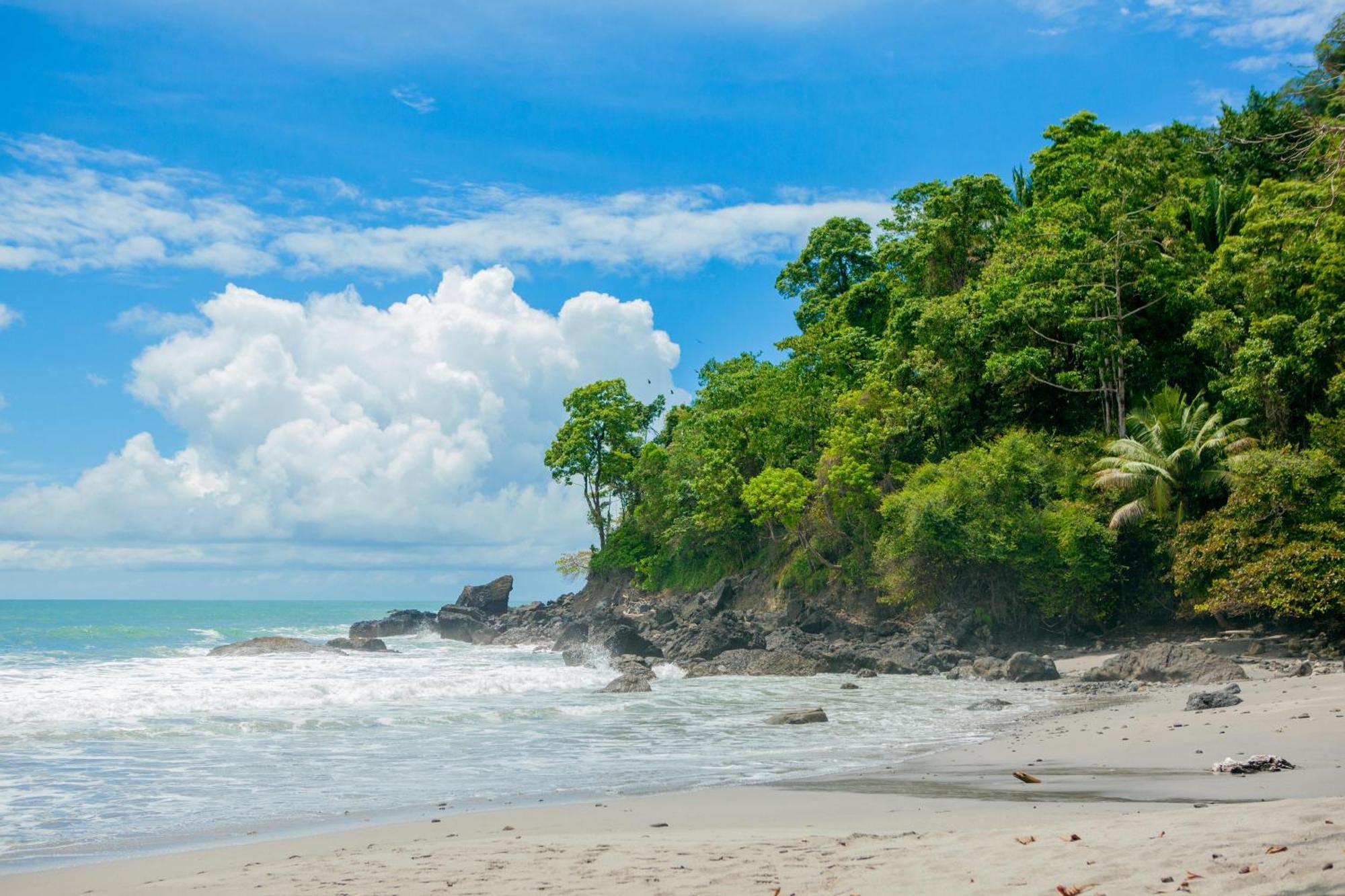 Arenas Del Mar Beachfront & Rainforest Resort Member Of The Cayuga Collection Manuel Antonio Exterior foto