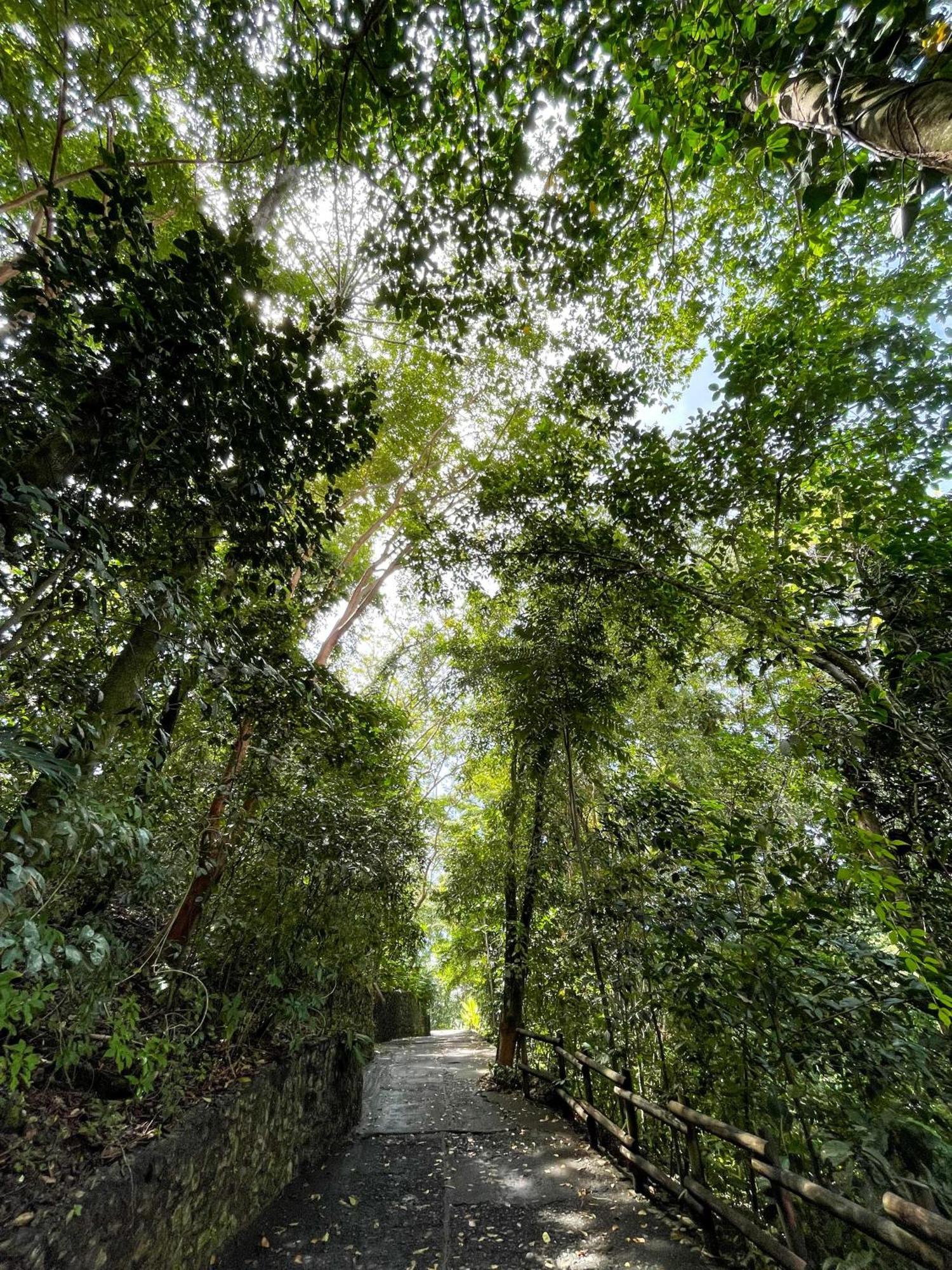 Arenas Del Mar Beachfront & Rainforest Resort Member Of The Cayuga Collection Manuel Antonio Exterior foto
